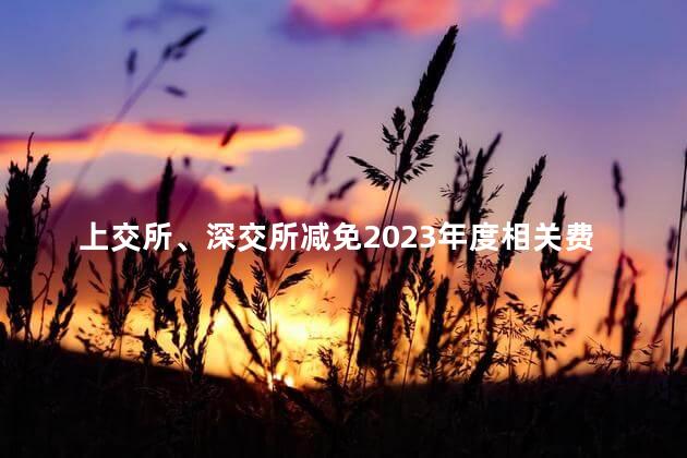 上交所、深交所减免2023年度相关费用