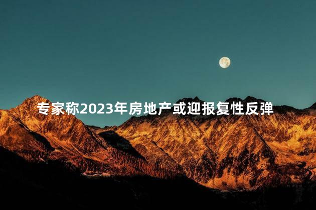 专家称2023年房地产或迎报复性反弹