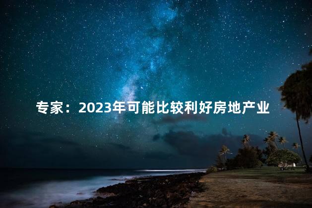 专家：2023年可能比较利好房地产业