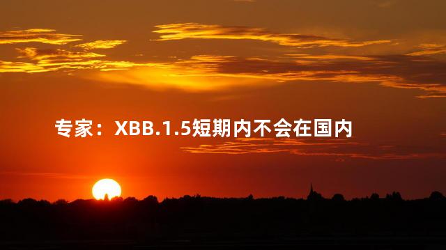 专家：XBB.1.5短期内不会在国内流行