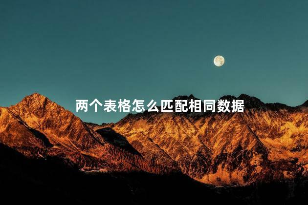 两个表格怎么匹配相同数据