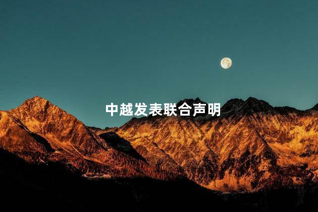 中越发表联合声明