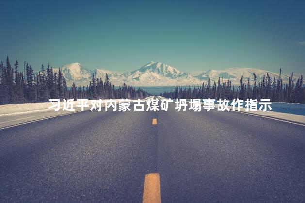 习近平对内蒙古煤矿坍塌事故作指示