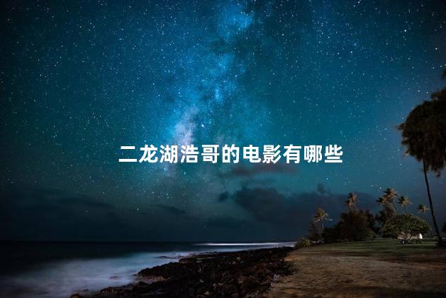 二龙湖浩哥的电影有哪些