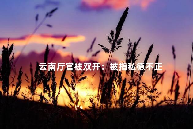 云南厅官被双开：被指私德不正