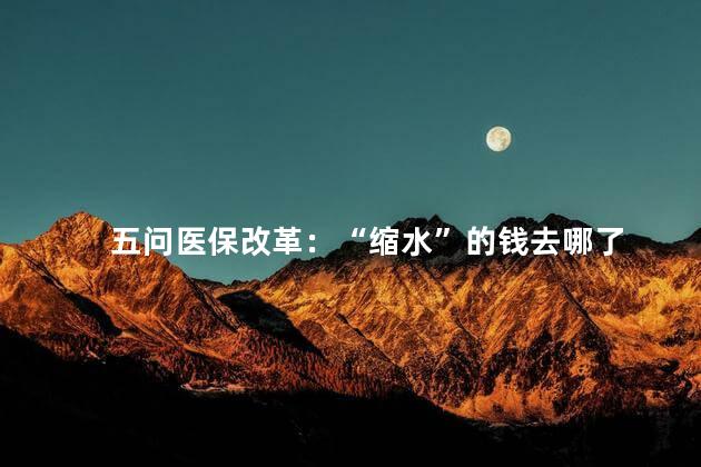 五问医保改革：“缩水”的钱去哪了