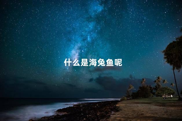 什么是海兔鱼呢 海兔是墨鱼仔吗