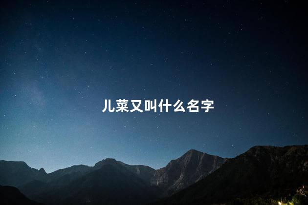 儿菜又叫什么名字