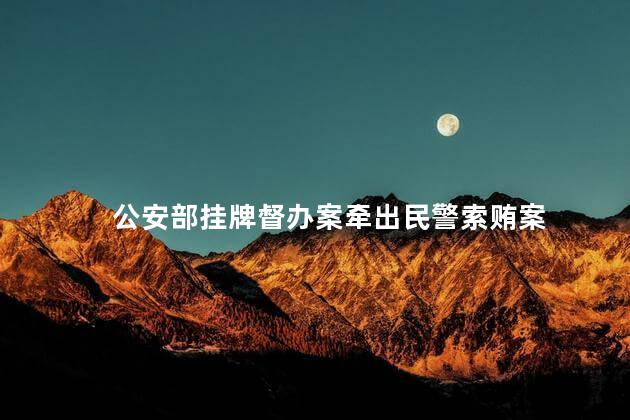 公安部挂牌督办案牵出民警索贿案