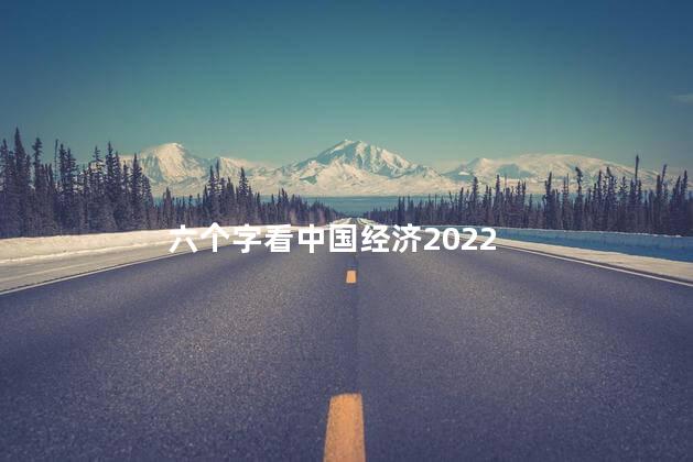 六个字看中国经济2022