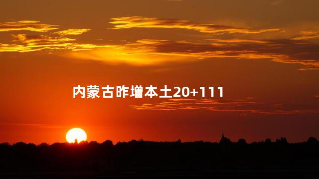 内蒙古昨增本土20+111