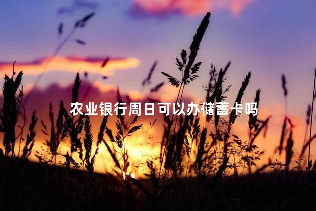 农业银行周日可以办储蓄卡吗，农业银行中秋节可以办卡吗