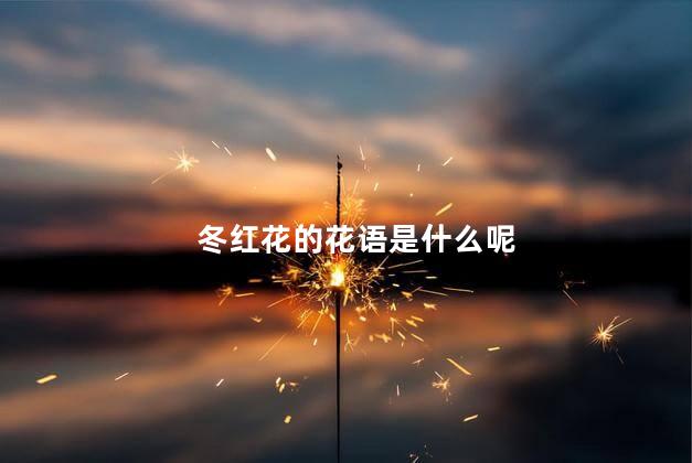 冬红花的花语是什么呢 万年红花的寓意是什么