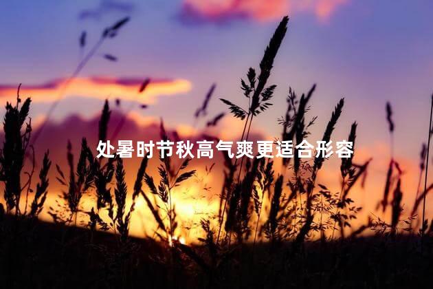 处暑时节秋高气爽更适合形容