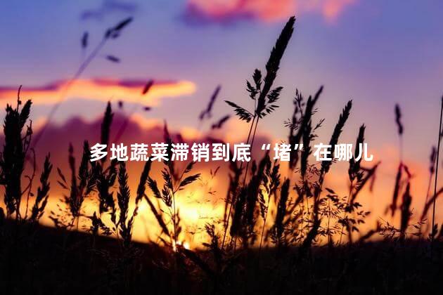 多地蔬菜滞销到底“堵”在哪儿