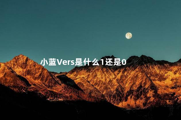 小蓝Vers是什么1还是0