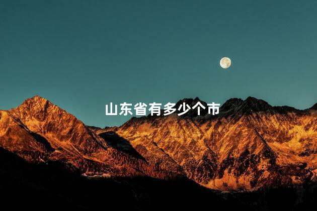 山东省有多少个市