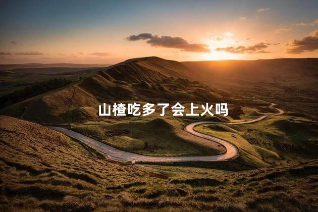 山楂吃多了会上火吗