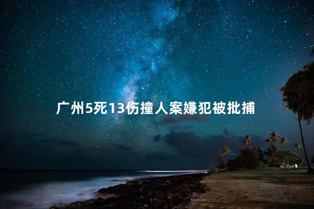 广州5死13伤撞人案嫌犯被批捕