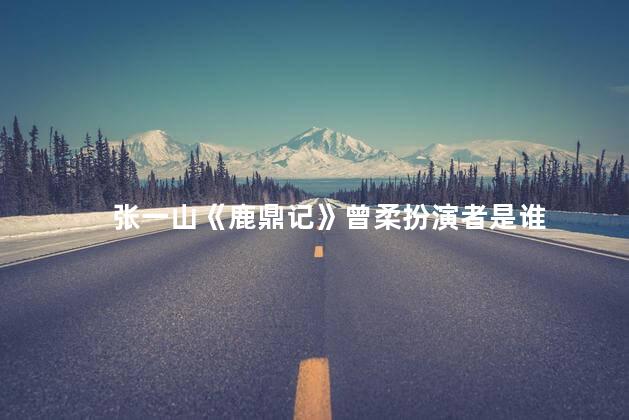 张一山《鹿鼎记》曾柔扮演者是谁