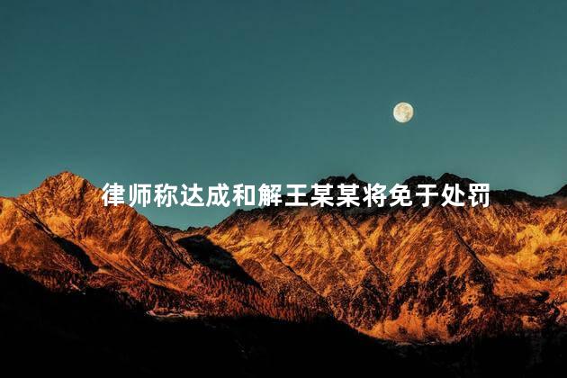 律师称达成和解王某某将免于处罚