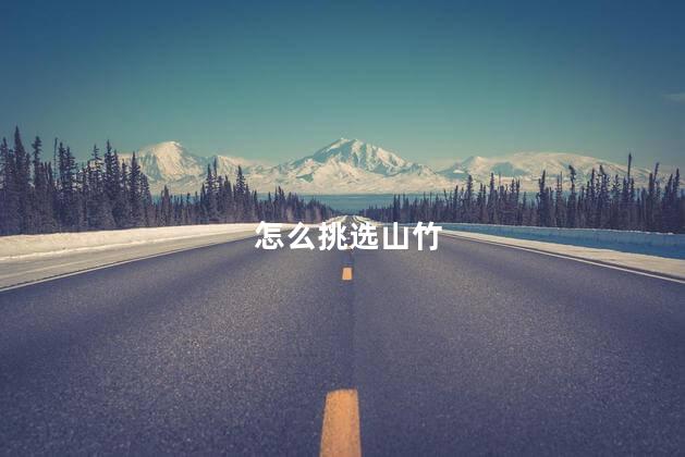 怎么挑选山竹