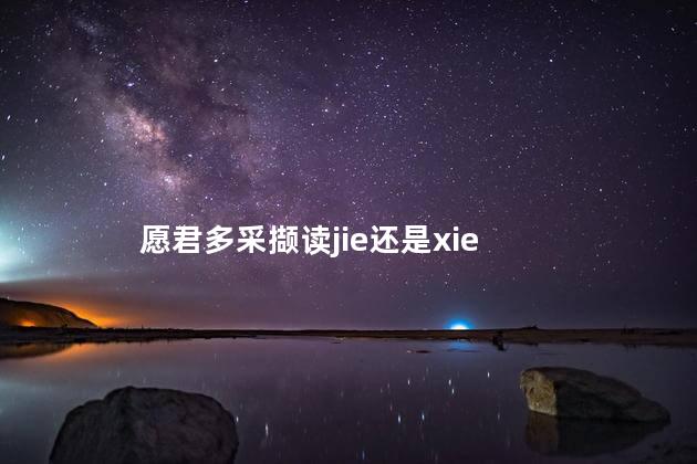 愿君多采撷读jie还是xie