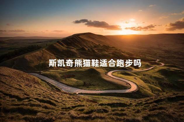 斯凯奇熊猫鞋适合跑步吗 斯凯奇适合跑800米吗