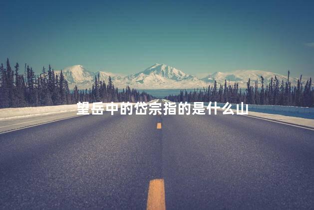 岱宗指的是什么山？ 岱宗是泰山吗