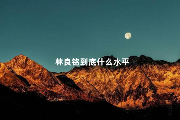 林良铭到底什么水平