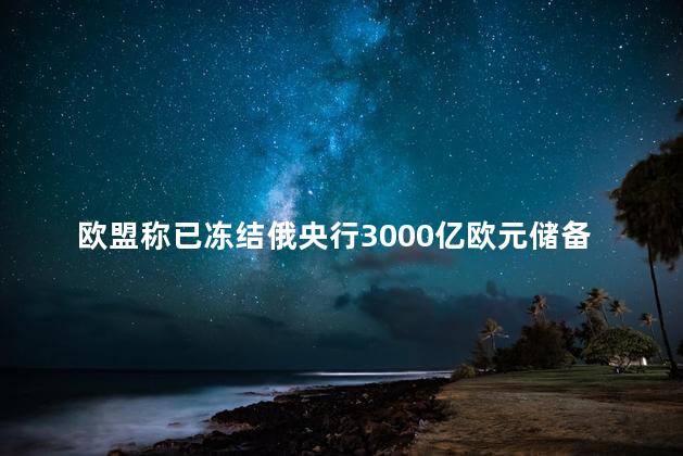 欧盟称已冻结俄央行3000亿欧元储备