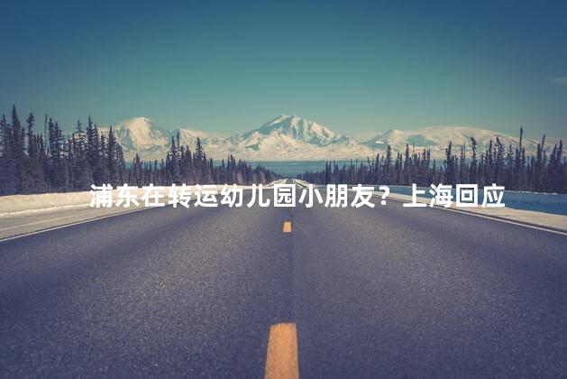 浦东在转运幼儿园小朋友？上海回应