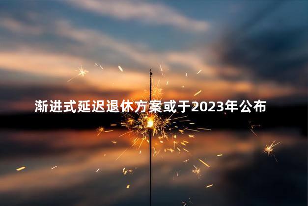 渐进式延迟退休方案或于2023年公布