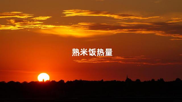 熟米饭热量