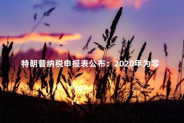 特朗普纳税申报表公布：2020年为零