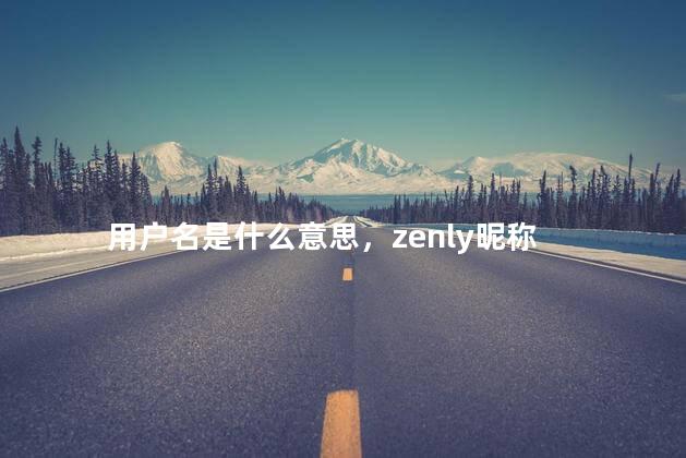 用户名是什么意思，zenly昵称