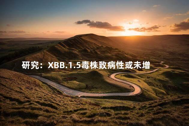 研究：XBB.1.5毒株致病性或未增强