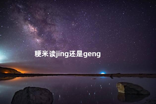 粳米读jing还是geng