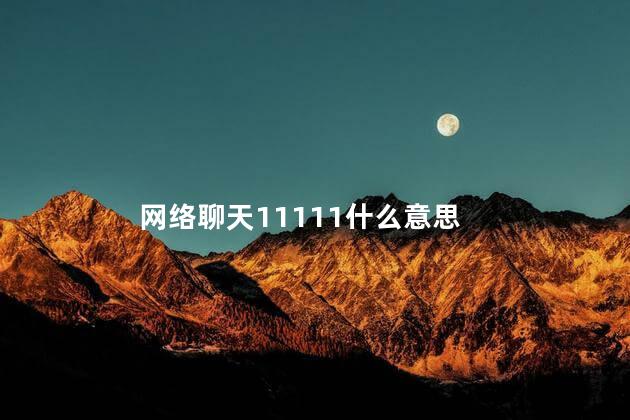 网络聊天11111什么意思