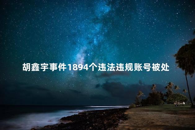 胡鑫宇事件1894个违法违规账号被处置