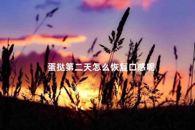 蛋挞第二天怎么恢复口感呢