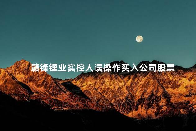 赣锋锂业实控人误操作买入公司股票