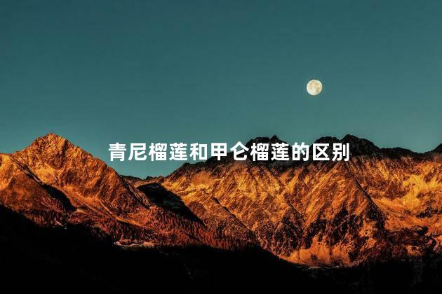 青尼榴莲和甲仑榴莲的区别 青尼榴莲籽大吗